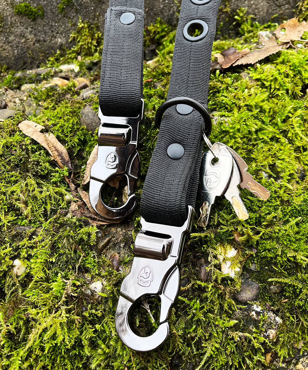 Dog collar with outlet lock and key