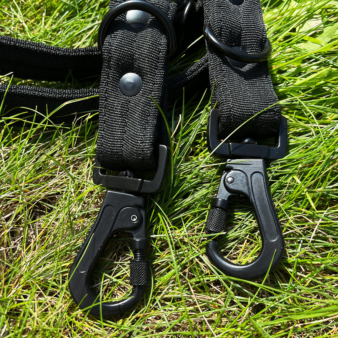 LOCK DOG bissfeste Hundeleine mit Schraubkarabiner